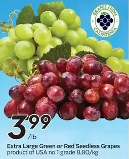Sobeys Extra large green or red seedless grapes offer
