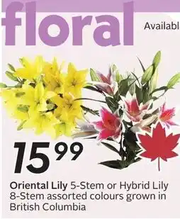 Sobeys Oriental Lily 5-Stem or Hybrid Lily 8-Stem offer