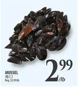 Al Premium Food Mart MUSSLE offer