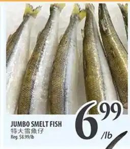 Al Premium Food Mart JUMBO SMELT FISH offer