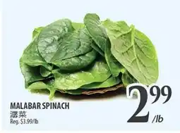 Al Premium Food Mart MALABAR SPINACH offer