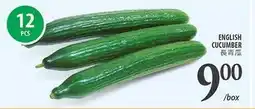 Al Premium Food Mart ENGLISH CUCUMBER offer