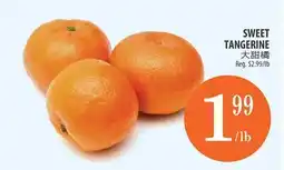 Al Premium Food Mart SWEET TANGERINE offer
