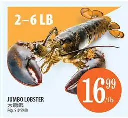 Al Premium Food Mart JUMBO LOBSTER offer