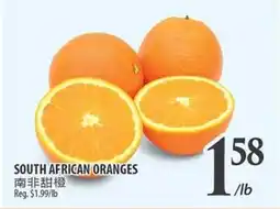 Al Premium Food Mart SOUTH AFRICAN ORANGES offer