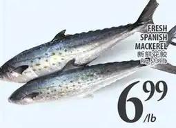 Al Premium Food Mart FRESH SPANISH MACKEREL offer