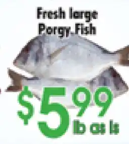 Danforth Food Market Fresh large Porgy Fish offer