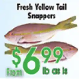 Danforth Food Market Fresh Yellow Tail Snappers offer