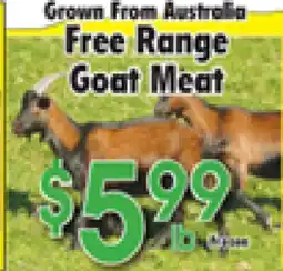 Danforth Food Market Free Range Goat Meat offer
