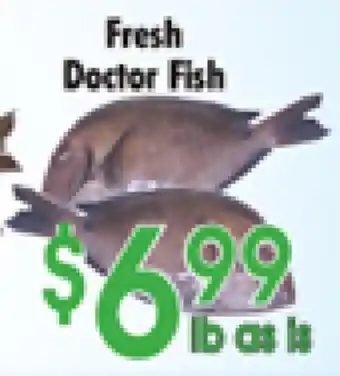 Danforth Food Market Fresh Doctor Fish offer