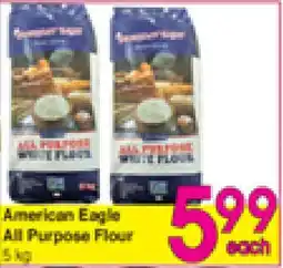 Danforth Food Market American Eagle All Purpose Flour offer