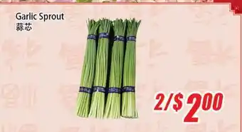 WinCo Food Mart Garlic Sprout offer