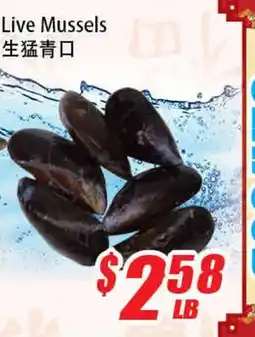 WinCo Food Mart Live Mussels offer