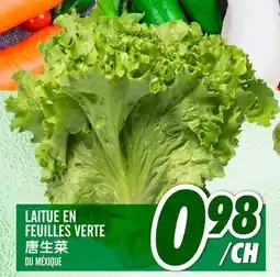 Marché Lian Tai LAITUE EN FEUILLES VERTE offer