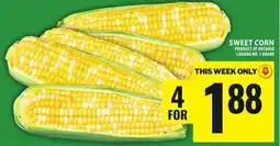 Food Basics SWEET CORN offer