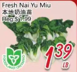 Foody Mart Fresh Nai Yu Miu offer
