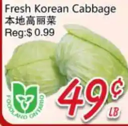 Foody Mart Fresh Korean Cabbage offer