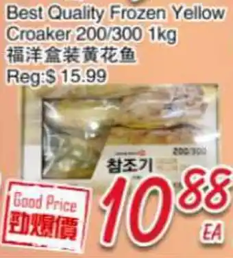 Foody Mart Best Quality Frozen Yellow Croaker 200/300 offer