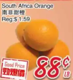 Foody Mart South Africa Orange offer