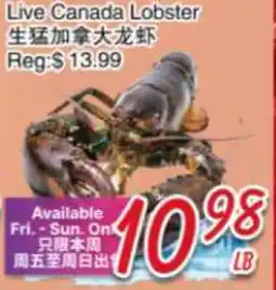 Foody Mart Live Canada Lobster offer