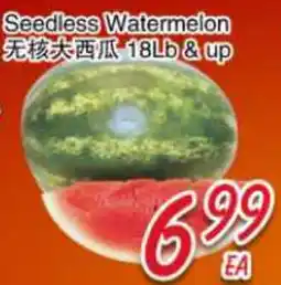 Foody Mart Seedless Watermelon offer