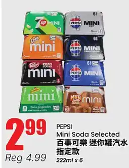 Btrust Supermarket PEPSI Mini Soda Selected offer