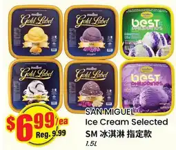 Btrust Supermarket SAN MIGUEL Ice Cream Selected offer