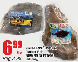 Btrust Supermarket GREAT LAKE SING HAI Turbot Fish offer