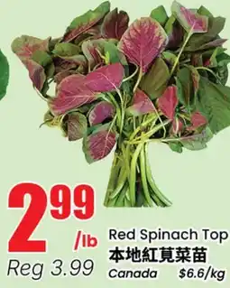 Btrust Supermarket Red Spinach Top offer