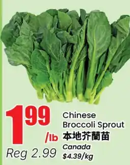 Btrust Supermarket Chinese Broccoli Sprout offer