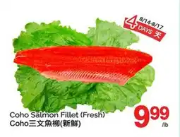 T&T Supermarket COHO SALMON FILLET offer