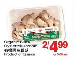 T&T Supermarket ORGANIC BLACK OYSTER MUSHROOM offer