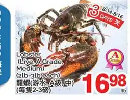 T&T Supermarket LOBSTER offer