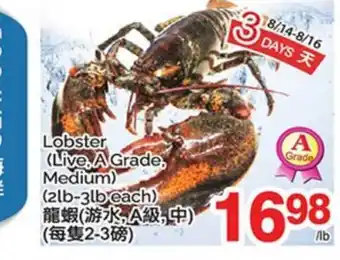T&T Supermarket LOBSTER offer