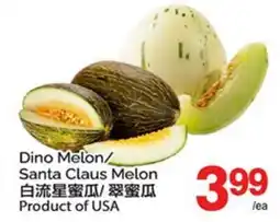 T&T Supermarket DINO MELON/SANTA CLAUS MELON offer