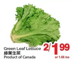 T&T Supermarket GREEN LEAF LETTUCE offer