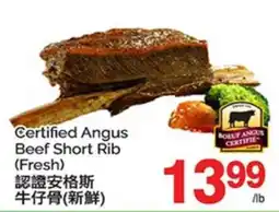 T&T Supermarket CERTIFIED ANGUS BEEF SHORT RIB offer
