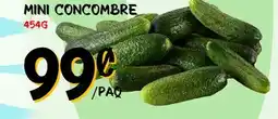 Marche Salaberry MINI CONCOMBRE offer
