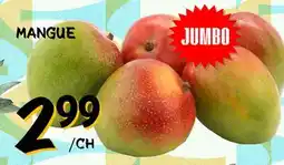 Marche Salaberry MANGUE offer