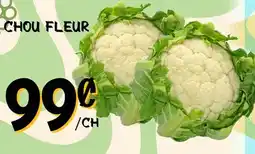 Marche Salaberry CHOU FLEUR offer