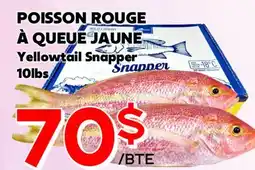Marche Salaberry POISSON ROUGE À QUEUE JAUNE offer