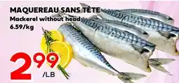 Marche Salaberry MAQUEREAU SANS TÊTE offer