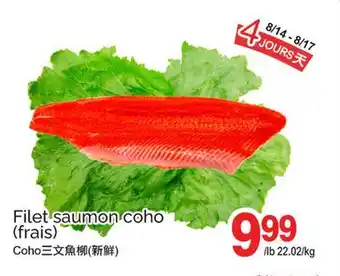 T&T Supermarket Filet saumon coho (frais) offer