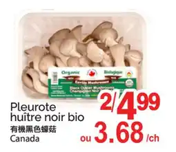 T&T Supermarket PLEUROTE HUÎTRE NOIR BIO offer
