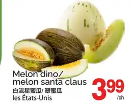 T&T Supermarket MELON DINO/ MELON SANTA CLAUS offer