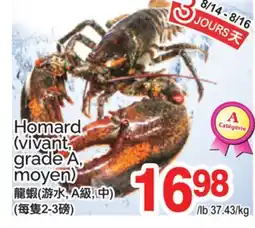 T&T Supermarket Homard (vivant, grade A, moyen) offer