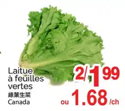 T&T Supermarket LAITUE À FEUILLES VERTES offer