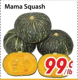 Bestco Food Mart Mama Squash offer