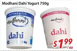 Bestco Food Mart Modhani Dahi Yogurt offer