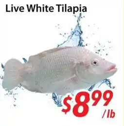 Bestco Food Mart Live White Tilapia offer